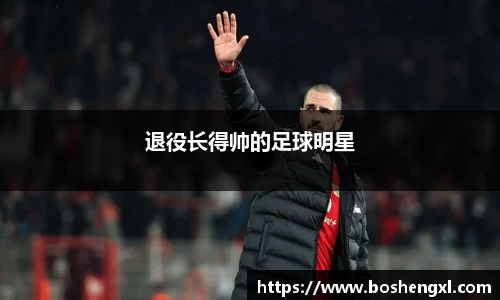 退役长得帅的足球明星